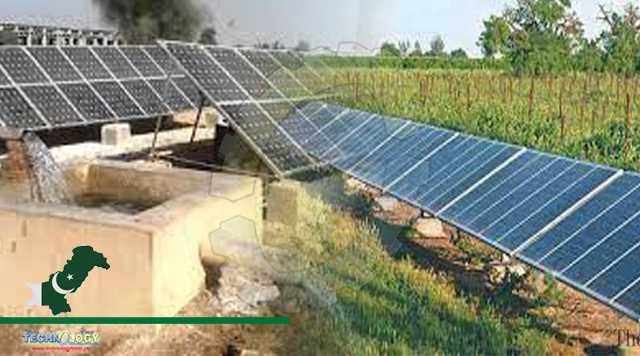 Govt to provide 50pc subsidy on solar system for drip irrigation projects