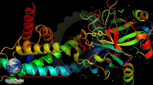 Novel microfluidic device used to manipulate major whey protein