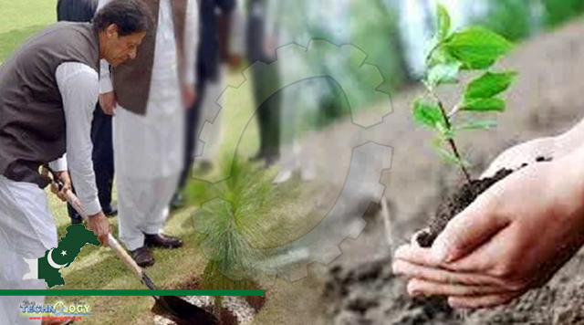 PM launches monsoon plantation drive today