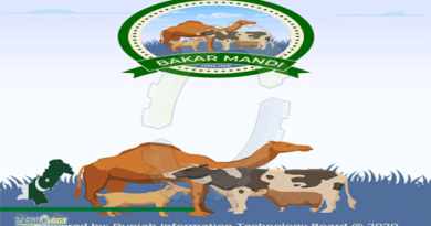 Sale-Of-Animals-Worth-Rs-55M-Reported-Through-Bakar-Mandi-Online-App