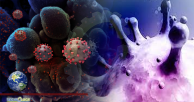 Scientists prove natural origin of coronavirus with evolution theory