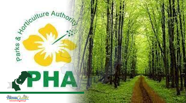 PHA Developed Asia's Largest Urban Forest In Lahore: Gillani