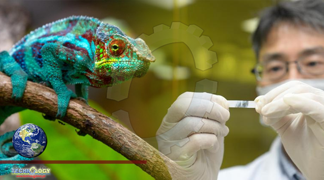 Researchers develop technology for color-changing chameleon high-polymer film