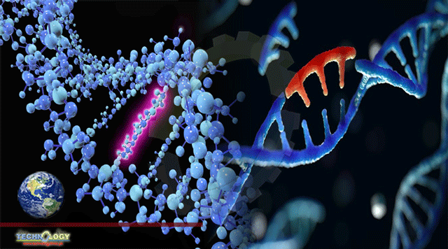 Studies Showed How Mutations Occurs In Human Cell