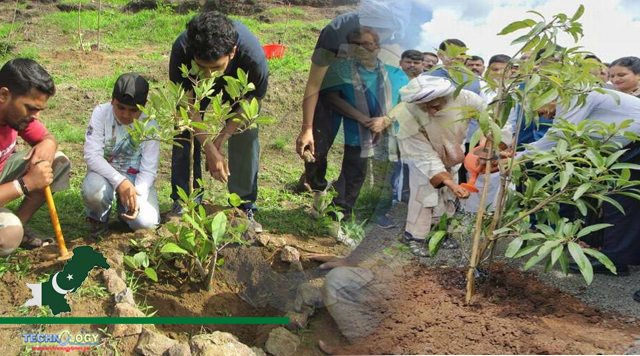 ‘Healthy environment can only be maintained through maximum tree plantation’