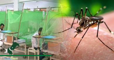 Fear of dengue outbreak looms over Pakistan as cases surge in Punjab, KP
