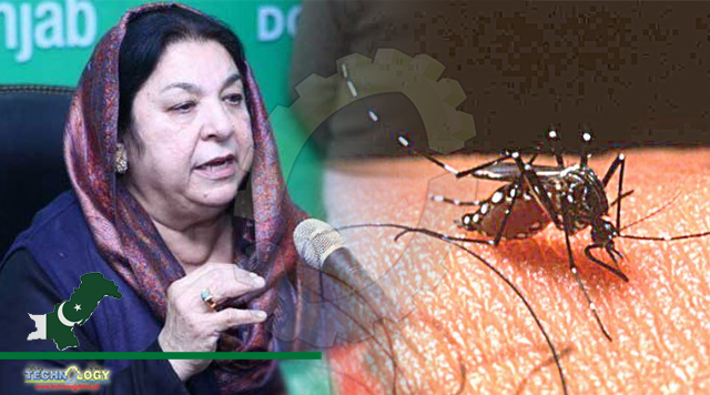 Health Minister warns of dengue virus spread, calls for preventive measures