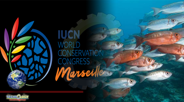 IUCN World Conservation Congress Overwhelmingly Supports Motion to Protect at Least 30% of the Planet by 2030