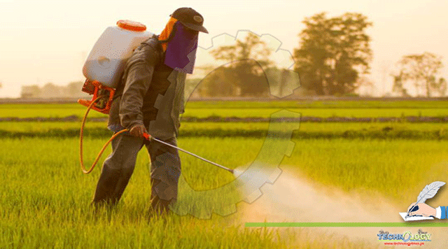 Impacts-of-Agrochemicals-on-Environment