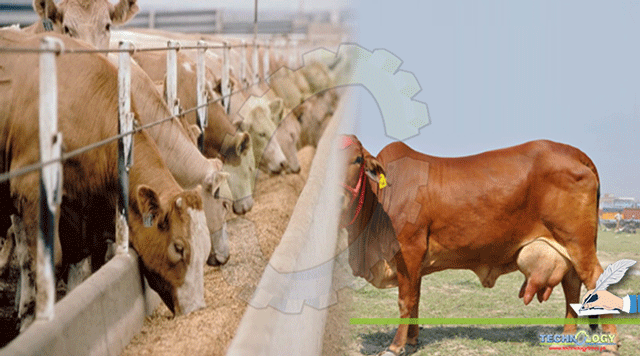 Livestock-Potential-Of-Pakistan