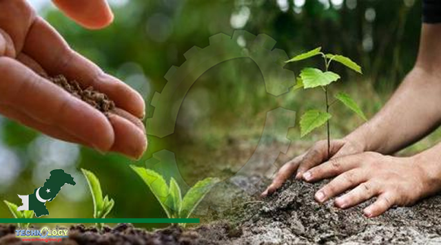 PHA Plants 315,000 Saplings Under Clean & Green Programme