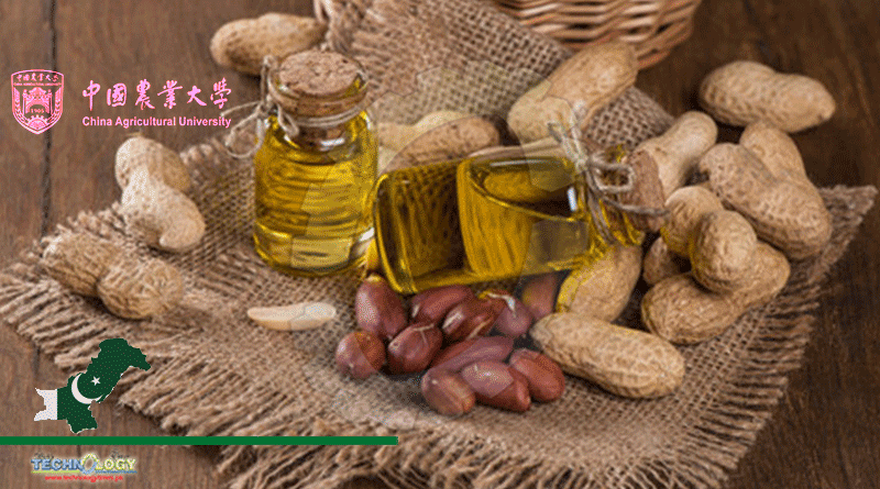 Park China To Cooperate For Peanut Oil Production