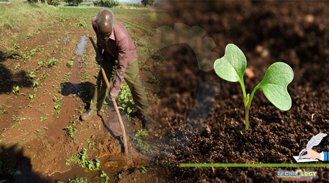 Healthy-Soils-in-Context-of-Food-Security