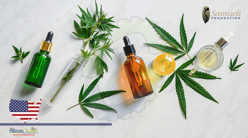 Cannabis And CBD Can Be Effective In Treating Chronic Pain