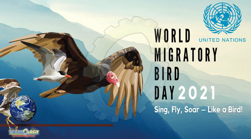 World Migratory Bird Day Aims To Raise Global Awareness About The Ecological Importance