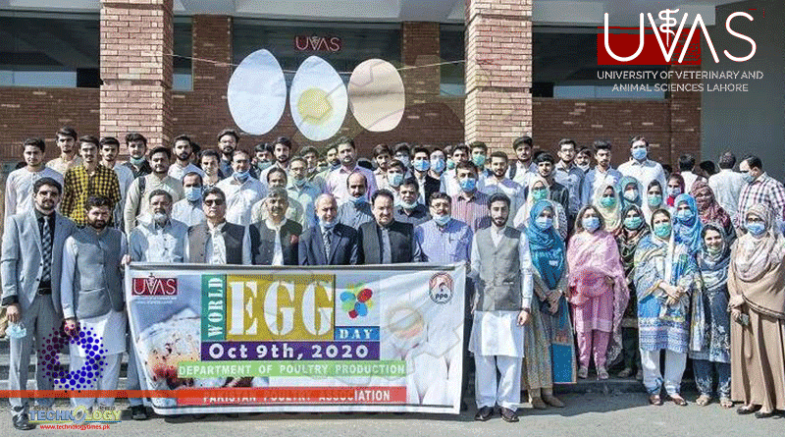 World Egg Day Observed At All Campuses Of UVAS 