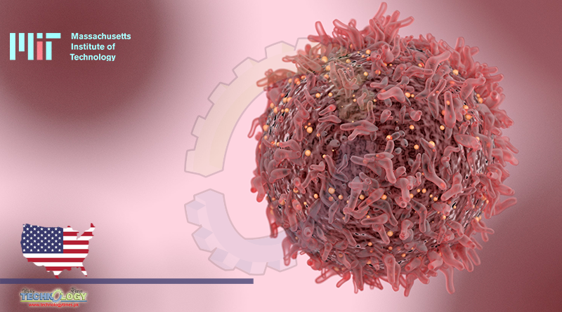 Cancer Cells Can Help Rejuvenate T Cells That Attack Tumor