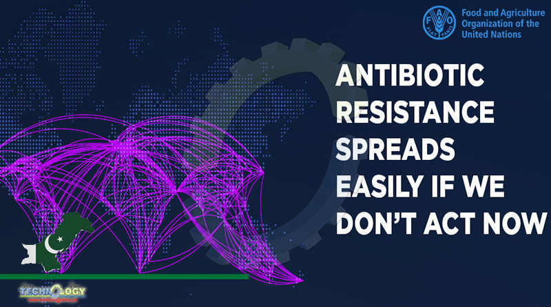 FAO’s 5 Year Plan To Help Members Tackle The Antimicrobial Challenge