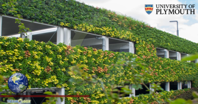 Living Walls Can Reduce Heat Lost By Its Structure To More Than 30%