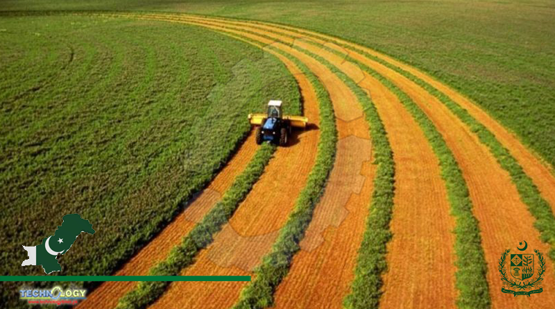 Australia & Pakistan Decides To Share Agro-Technology
