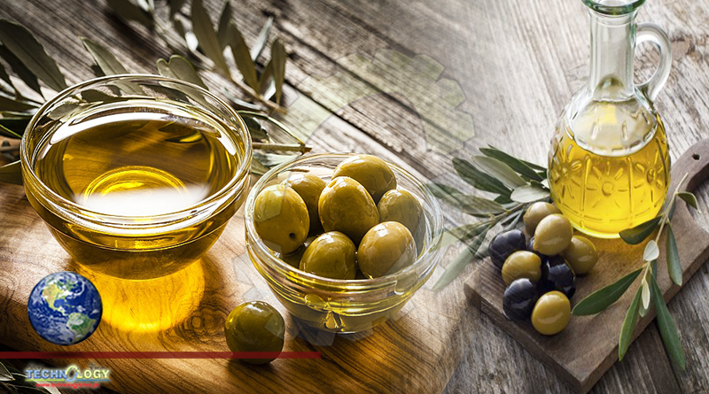 National Olive Festival To Promote Cultivation & Boost Olive Oil Production
