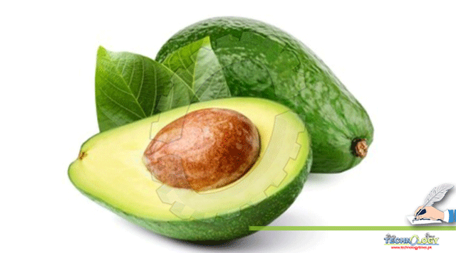 Avocado-the-King-of-Fruits.