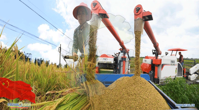 China helps boost global food security