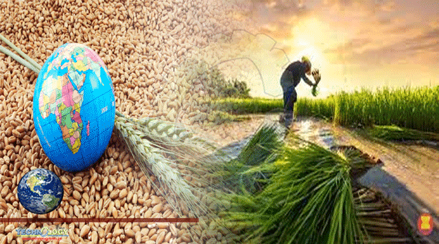 FAO: Land, water use critical to global food security… going forward