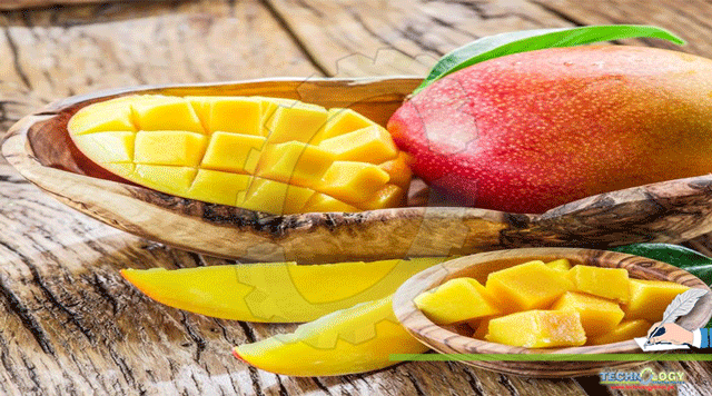 Facts-make-Mango-the-king-of-fruits