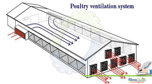 Management-of-Ventilation-in-a-Poultry-House.