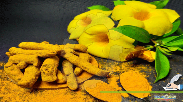 Turmeric-a-Miracle-in-medicine