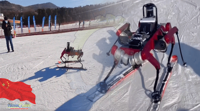 skiing-robot-aces