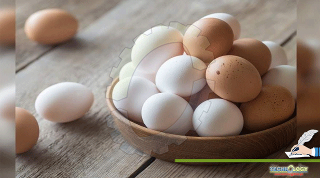 Health-benefits-of-eating-eggs.