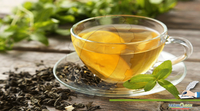 PHARMACOLOGICAL-IMPORTANTS-OF-GREEN-TEA
