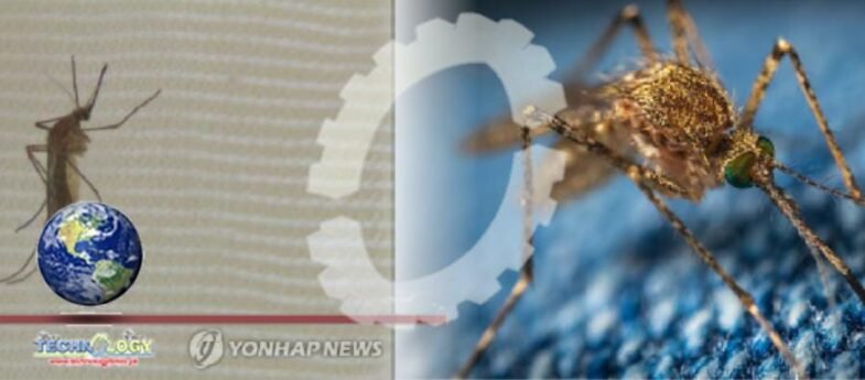 Several cases of a mosquito-borne disease, Japanese encephalitis, have been confirmed in Australia