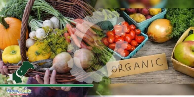 Natural Mode of Life: Trend of organic food on rise in KP