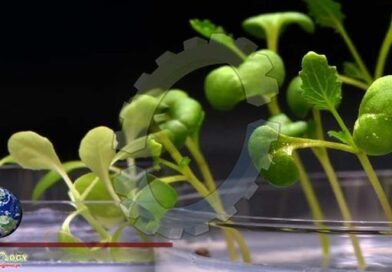 Artificial Photosynthesis Can Produce Food in Complete Darkness