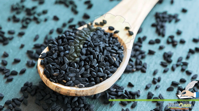 Biochemical-Composition-and-Traditional-Uses-of-Black-Cumin.