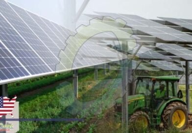 Can Dual-Use Solar Panels Provide Power and Share Space With Crops?