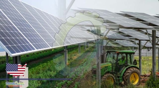 Can Dual-Use Solar Panels Provide Power and Share Space With Crops