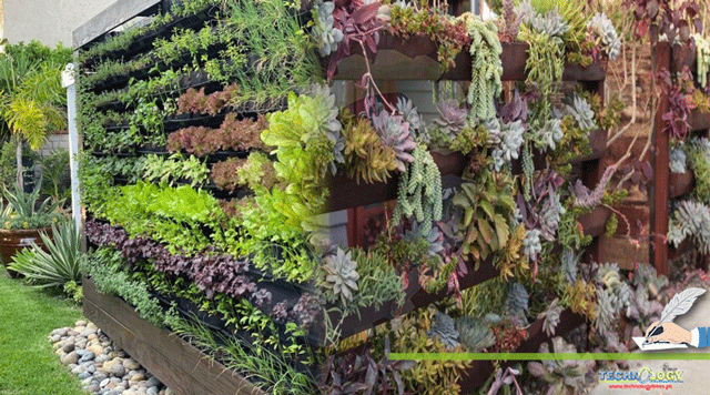 Edible-landscape-a-way-forward-to-sustainable-Urban-Horticulture