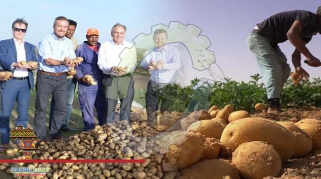 From sand to spuds How Algeria galvanised its agricultural sector