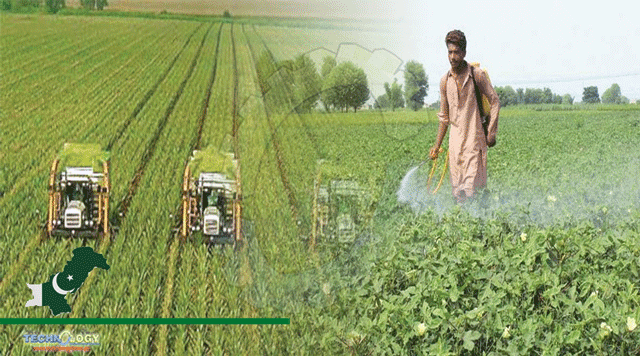 Rs21b-allocated-boost-crop-livestock-sector