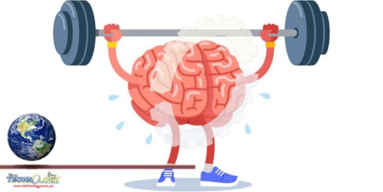 How does physical exercise benefit the brain?