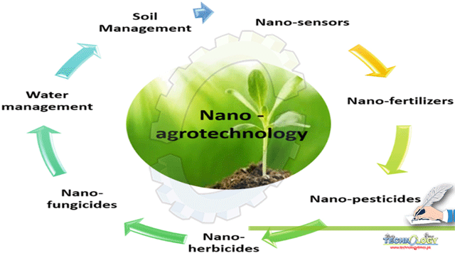 Role-of-Nanotechnology-in-Horticulture-Crops