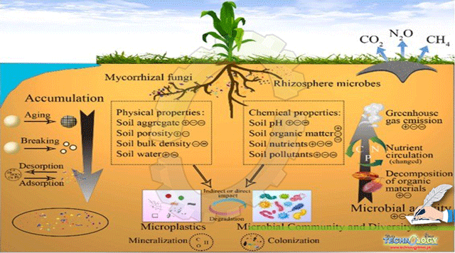 EFFECT-OF-MICROPLASTICS-ON-SOIL-PHYSIOCHEMICAL-PROPERTIES.