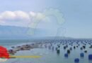 How new ocean buoys improve fish farming in S. China’s Quanzhou