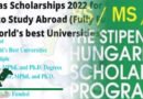 Hungry’s Doubled Scholarships For Pakistani Students: Ambassador