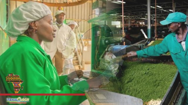 Kenya Tea Development Agency brews perfect technology mix