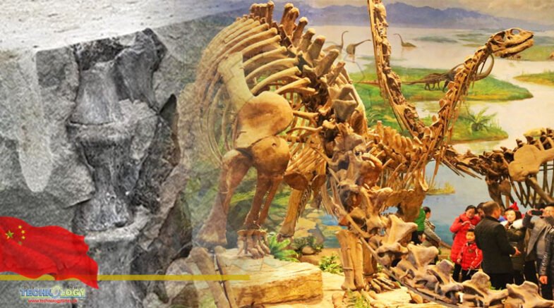 Pristine Dinosaur Fossil Unearthed In China's Sichuan Province